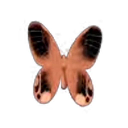 🦋 Эмодзи «Butterfly» для Telegram