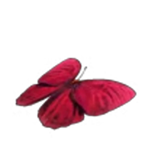 🦋 Эмодзи «Butterfly» для Telegram