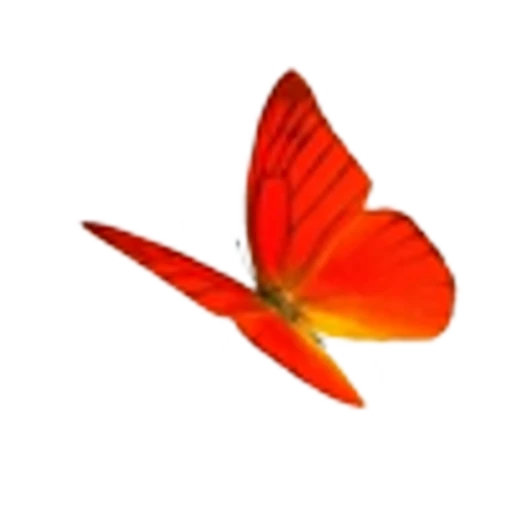 🦋 Эмодзи «Butterfly» для Telegram