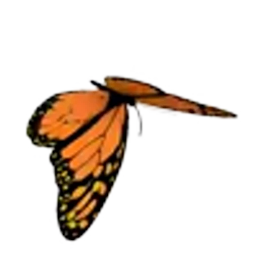 🦋 Эмодзи «Butterfly» для Telegram