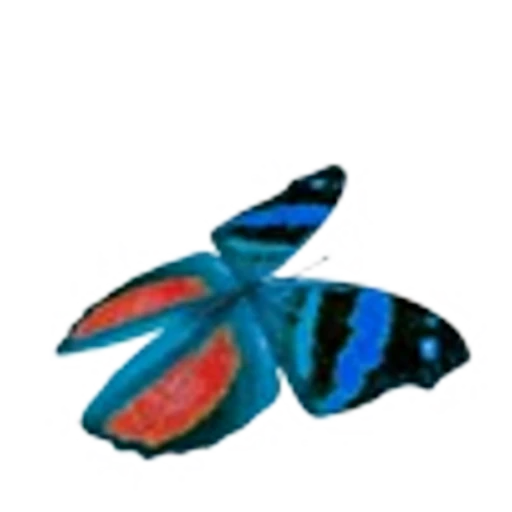 🦋 Эмодзи «Butterfly» для Telegram