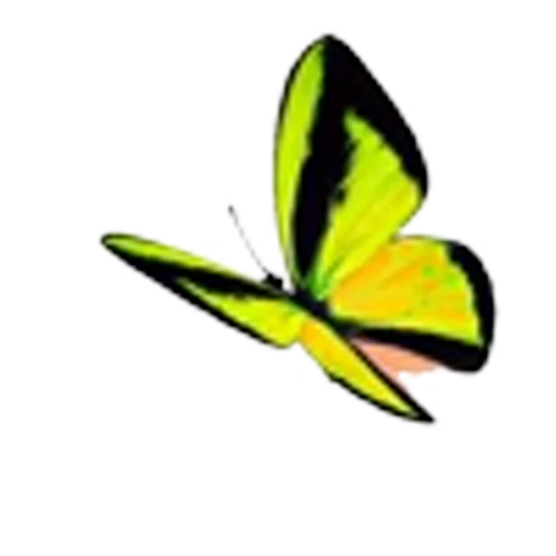 🦋 Эмодзи «Butterfly» для Telegram