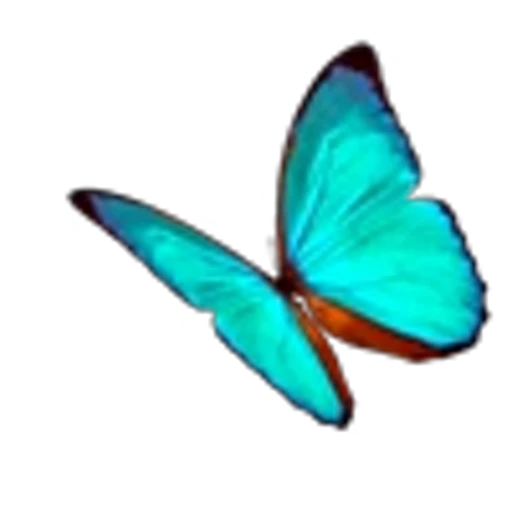 🦋 Эмодзи «Butterfly» для Telegram