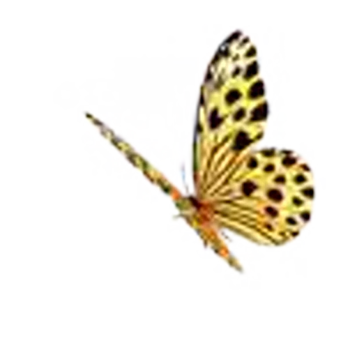 🦋 Эмодзи «Butterfly» для Telegram