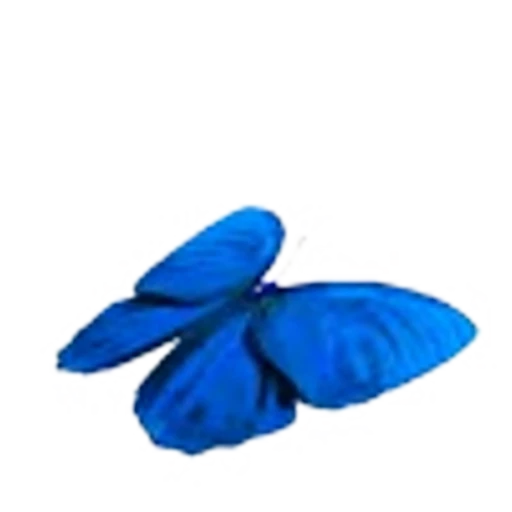🦋 Эмодзи «Butterfly» для Telegram