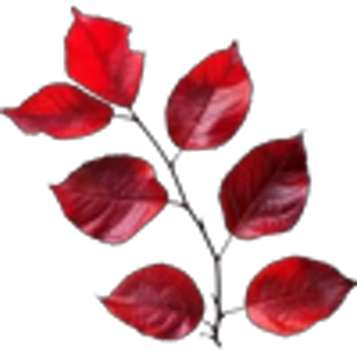 🤩 Эмодзи «Red Mixed» для Telegram