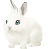 🐰 Эмодзи «Белый шрифт» для Telegram