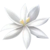 🌼 Эмодзи «Белый шрифт» для Telegram