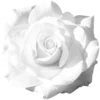🌹 Эмодзи «Белый шрифт» для Telegram