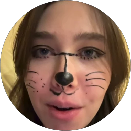 😻 Стикер «Карина Шпак» для Telegram