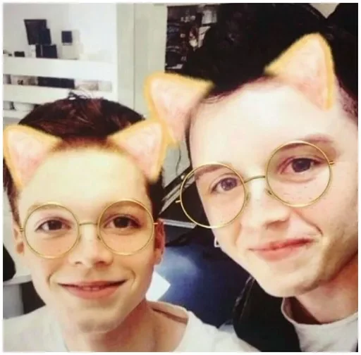 🐱 Стикер «Gallovich the only love» для Telegram