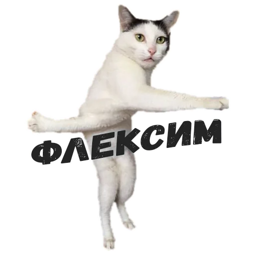 👻 Стикер «Пушистые» для Telegram