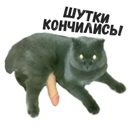 😠 Стикер «Пушистые» для Telegram
