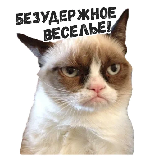 😐 Стикер «Пушистые» для Telegram
