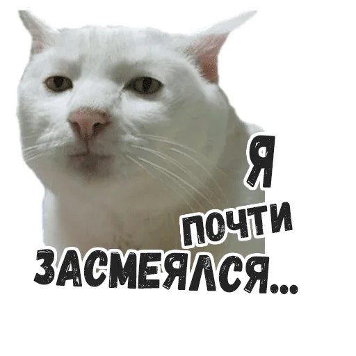😐 Стикер «Пушистые» для Telegram