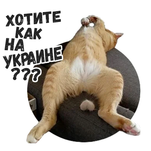 🇺🇦 Стикер «Пушистые» для Telegram