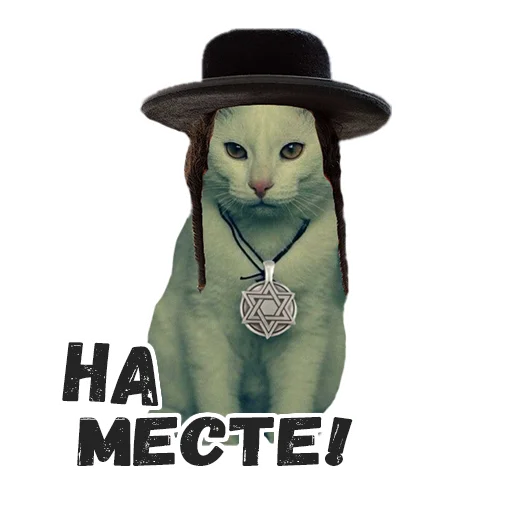 😶 Стикер «Пушистые» для Telegram