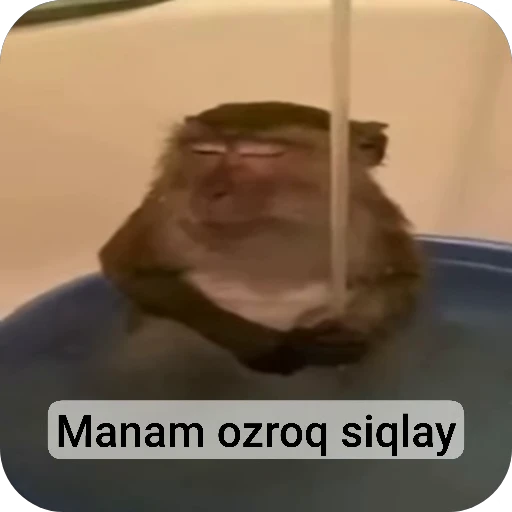 🌟 Стикер «collection» для Telegram