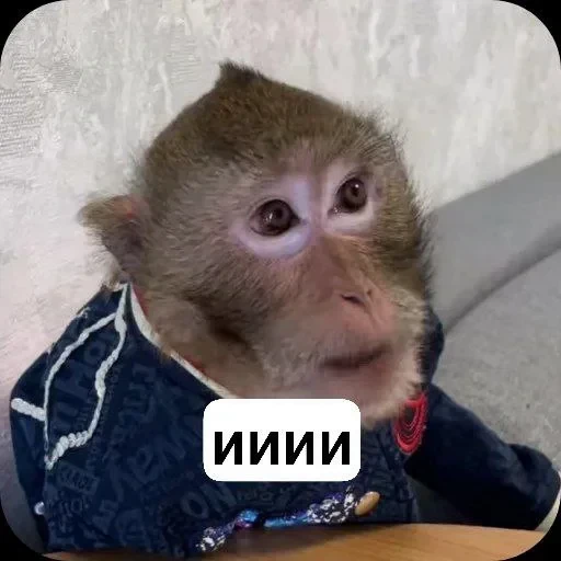 🌟 Стикер «collection» для Telegram