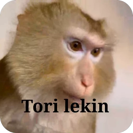 🤩 Стикер «collection» для Telegram