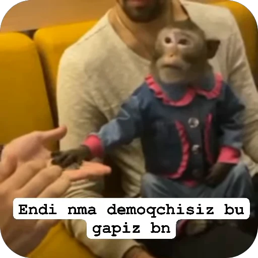 🌟 Стикер «collection» для Telegram