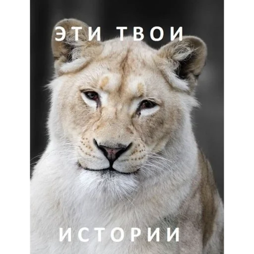 😐 Стикер «ТОКСИККОЛЛЕКШН» для Telegram