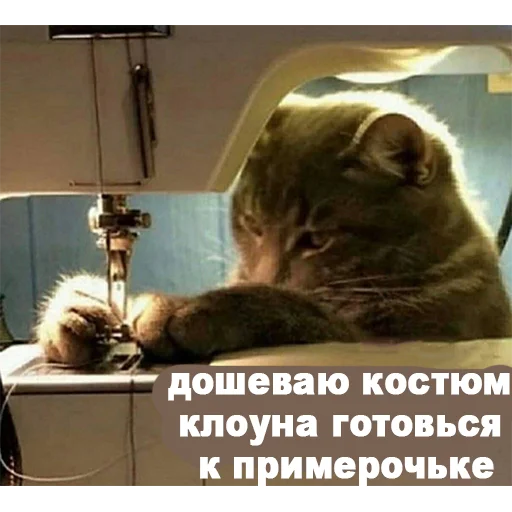 😐 Стикер «ТОКСИККОЛЛЕКШН» для Telegram