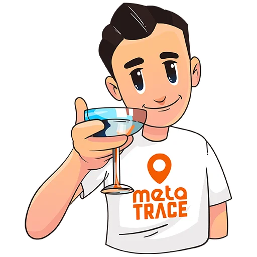 🤩 Стикер «TRACE Meta verse» для Telegram