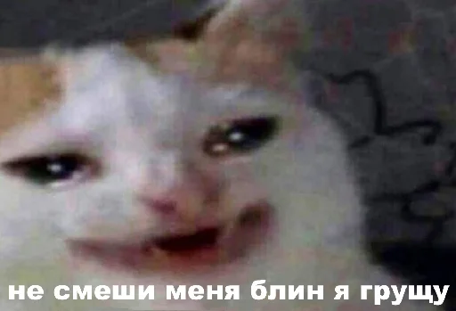 😭 Стикер «Пикчи и картинки» для Telegram