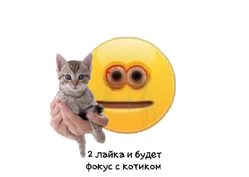 🐱 Стикер «Пикчи и картинки» для Telegram