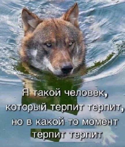 🗿 Стикер «Пикчи и картинки» для Telegram