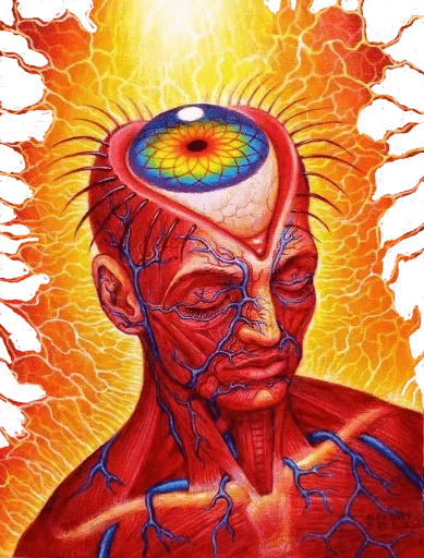 😜 Стикер «Brainwash» для Telegram