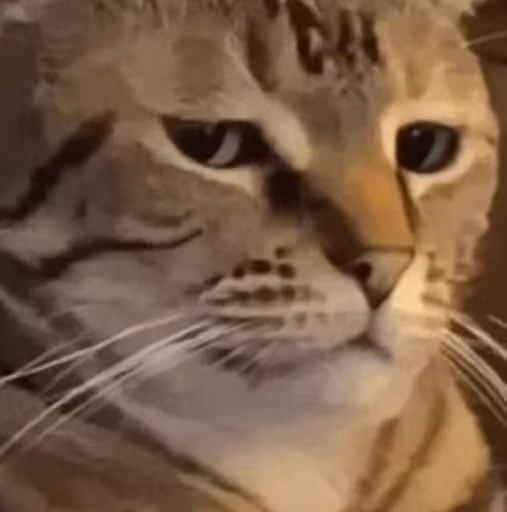 😒 Стикер «Trash» для Telegram