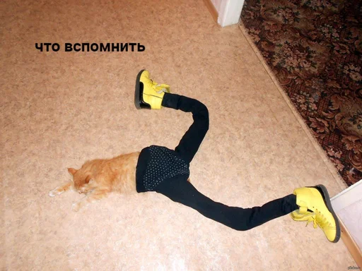 🐈 Стикер «Tрash» для Telegram
