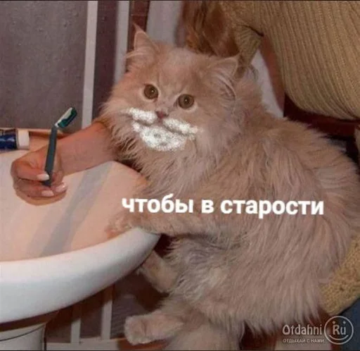 🪒 Стикер «Tрash» для Telegram