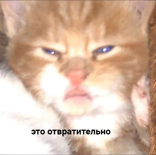 😡 Стикер «Tрash» для Telegram