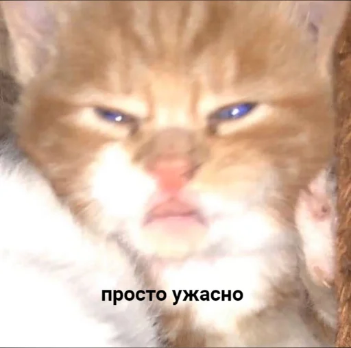 😡 Стикер «Tрash» для Telegram