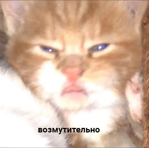 🔪 Стикер «Tрash» для Telegram
