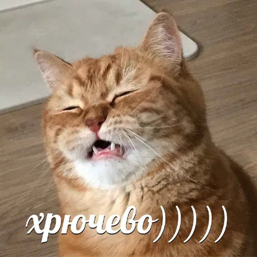 🛌 Стикер «Tрash» для Telegram