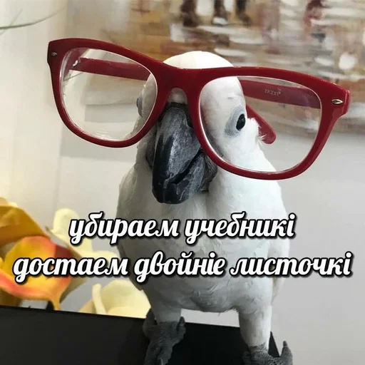 👩‍🏫 Стикер «Tрash» для Telegram