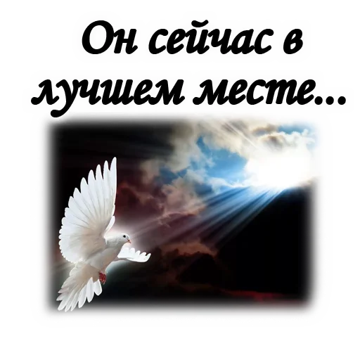 🕊 Стикер «ТРАУР» для Telegram