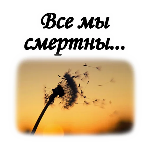 🥀 Стикер «ТРАУР» для Telegram