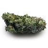 Стикер 42 Weed