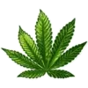 Стикер 57 Weed