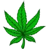 Стикер 55 Weed