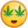 Стикер 5 Weed