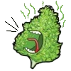 Стикер 36 Weed