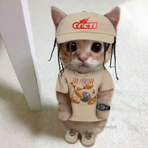 🐈‍⬛ Стикер «Travis Scott» для Telegram