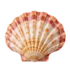🦪 Эмодзи «Treasures from the Sea» для Telegram