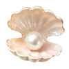 Стикерпак Treasures from the Sea для Telegram